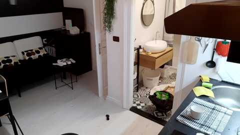 apollobest77 free recording from 2025-07-08 19:28:00