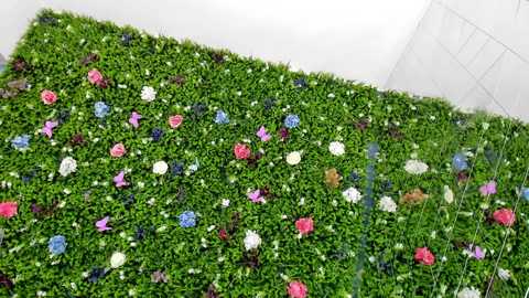 babyaylin free recording from 2025-07-08 15:47:00