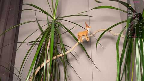 aronyou_win free recording from 