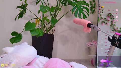 breeding_material free recording from 2025-07-09 15:58:00