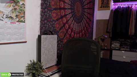 folleti7 free recording from 2025-07-09 00:12:00