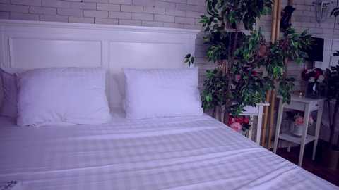 anabellastar free recording from 2025-07-10 07:22:00