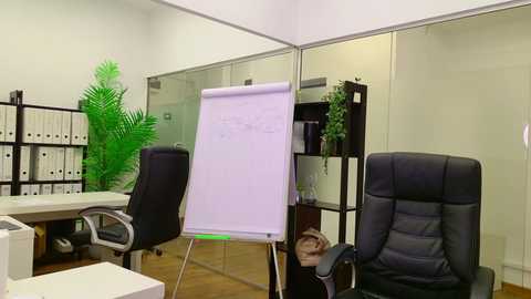 babesgowild free recording from 2025-07-10 08:13:00