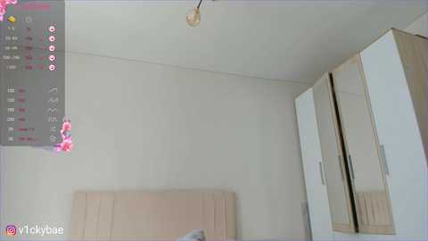 sweety_vikky free recording from 2025-07-10 06:19:00