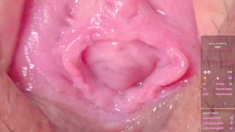 horny_moly free recording from 