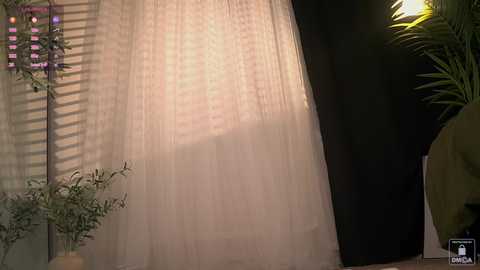 myliss free recording from 