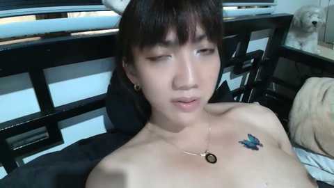 xdreamangel free recording from 2025-07-11 09:32:00