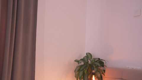 alissa_wxw free recording from 