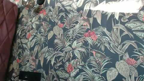 dyafirst free recording from 