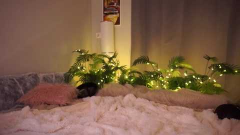 ramonatorres_ free recording from 2025-07-12 23:04:00