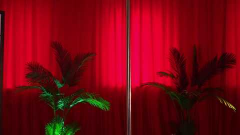 kittycaitlin free recording from 2025-07-13 06:40:00