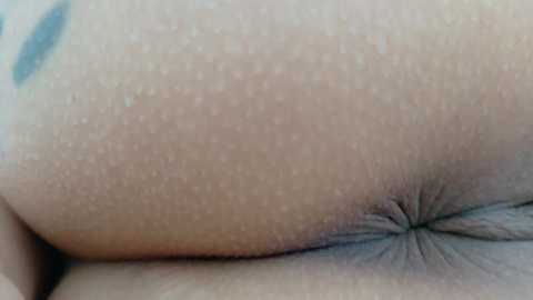 theislandgirl free recording from 2025-07-13 19:08:00