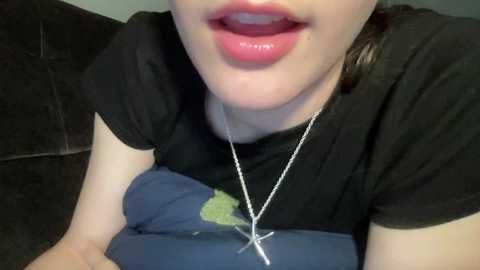 wonderland_stia free recording from 