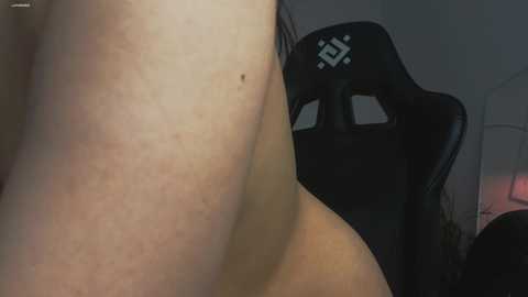 aryamirelle free recording from 