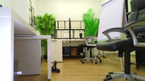 babesgowild free recording from 