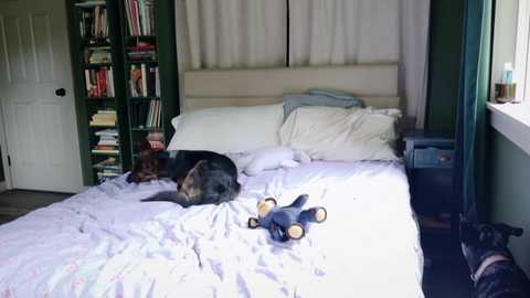 kaileeshy free recording from 2025-07-15 01:07:00