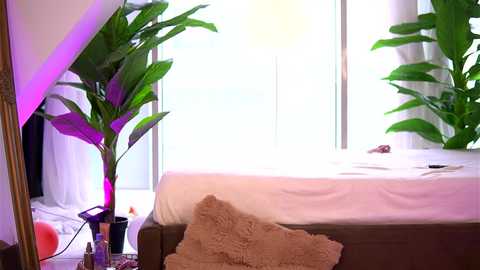 kaylabray free recording from 