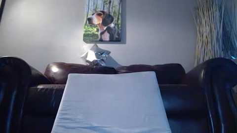 scarslutwitch free recording from 