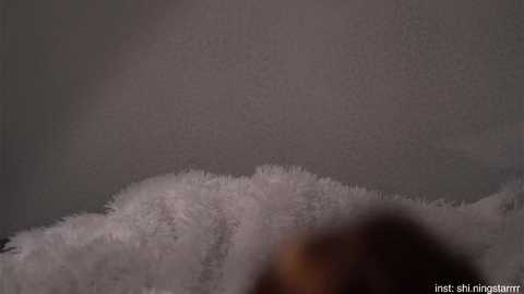 shiningstarrr free recording from 2025-07-15 05:28:00