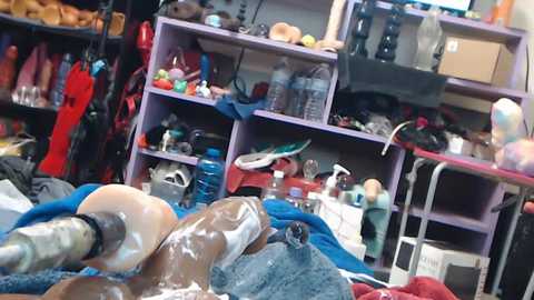 animergamergirl free recording from 2025-07-16 02:02:00