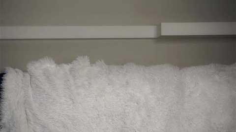 zeldaes free recording from 