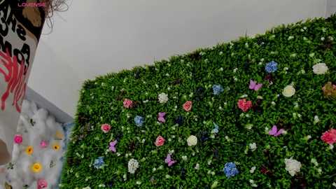 babyaylin free recording from 2025-07-17 19:31:00