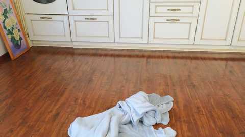 lynnaappling free recording from 2025-07-17 08:30:00