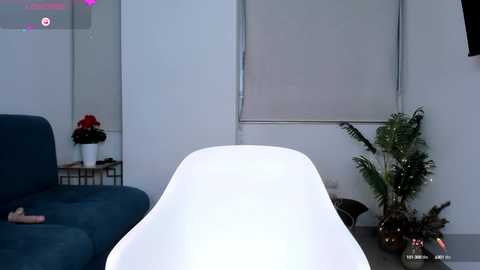 ann__w free recording from 