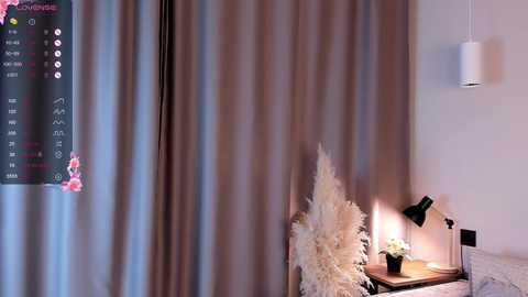 debraevans free recording from 2025-07-18 20:13:00