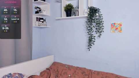 polly_bee free recording from 2025-07-18 14:50:00