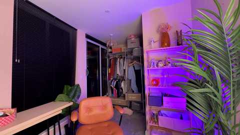 vixenp free recording from 