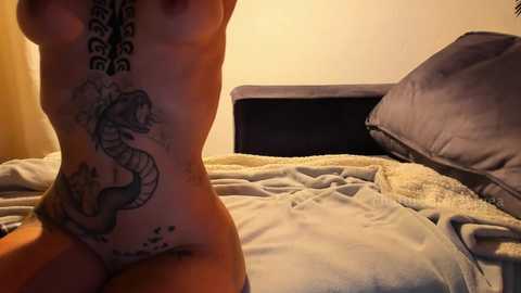 artgea free recording from 