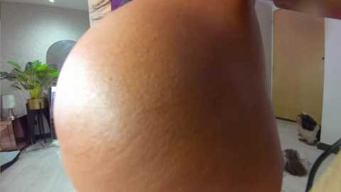 dianac1998 free recording from 2025-07-19 22:31:00