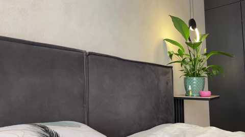 girl_next_door19 free recording from 