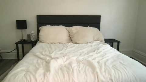 scarletterose_504259 free recording from 2025-07-19 15:04:00