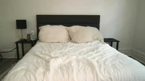 scarletterose_504259 free recording from 2025-07-19 15:25:00