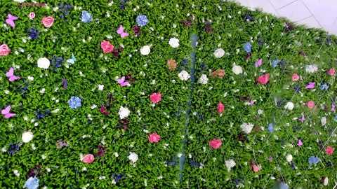 babyaylin free recording from 2025-07-20 16:08:00