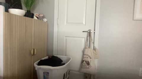 bellaxxboo free recording from 2025-07-20 00:57:00