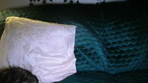 bigdicktrannynicole free recording from 2025-07-20 01:36:00