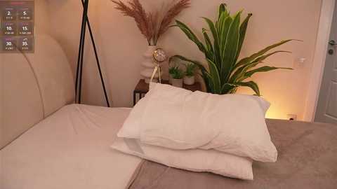 cielomio free recording from 2025-07-20 21:07:00