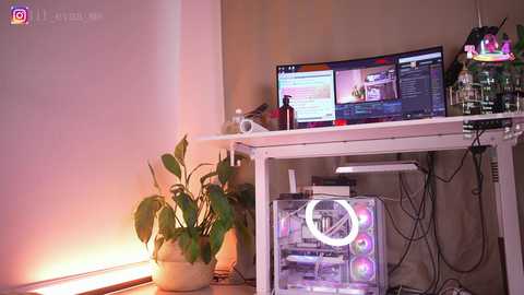 lil_eva free recording from 2025-07-20 10:58:00