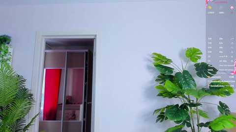 sweet__piece free recording from 2025-07-20 14:36:00