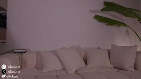 ellelure_ free recording from 2025-07-21 03:28:00