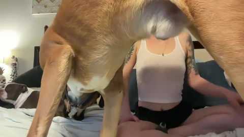 sexyscientists free recording from 2025-07-21 01:30:00