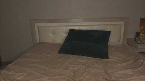 shygaze free recording from 2025-07-21 21:05:00