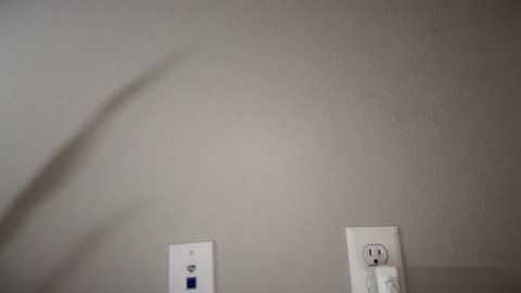 _natycutei19 free recording from 2025-07-23 01:15:00