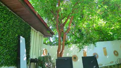 babesgowild free recording from 