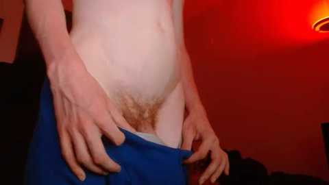 heatseekxx free recording from 