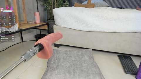 willow_hendrix free recording from 2025-07-23 17:18:00