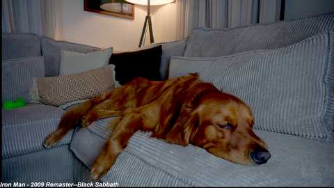 x_lily_x free recording from 2025-07-23 00:49:00